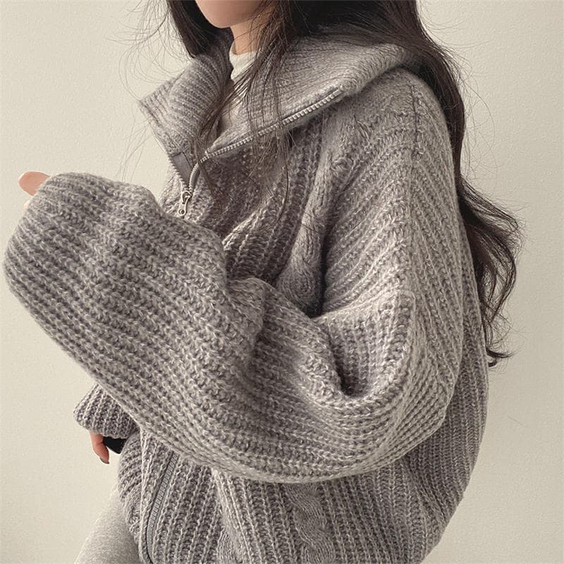 イエベ春/イエベ秋服　ケーブル編みジップアップニット