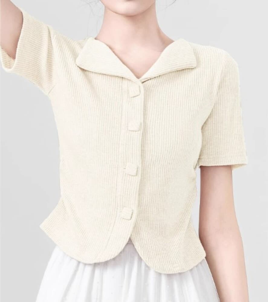 イエベ春/イエベ秋服 カラーニットポロシャツ