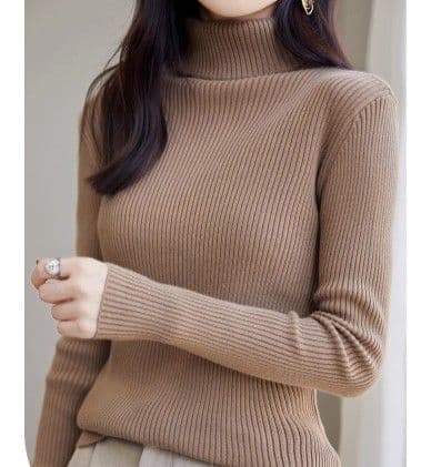 イエベ春/イエベ秋服 上品タートルネック縦リブニットトップス